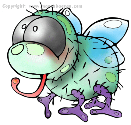 fliege-schmeissfliege-stubenfliege-fly-mosca-illustration-comic-individuell-cartoons-zeichnungen-mausebaeren
