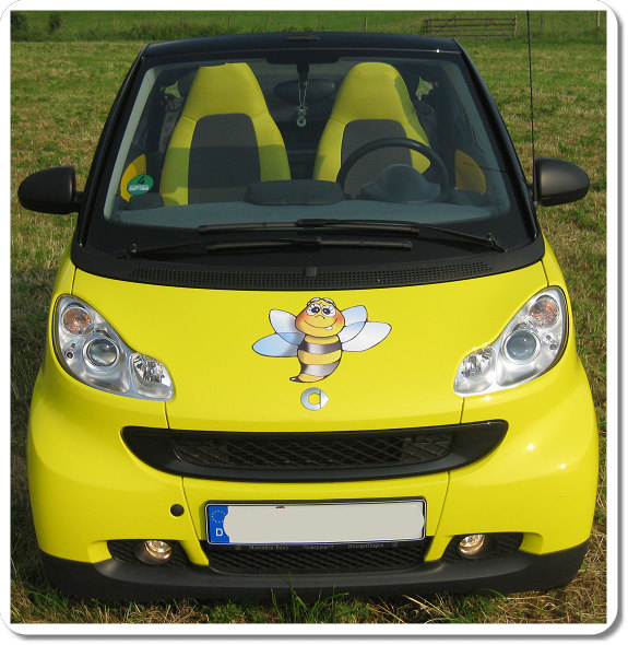 bienenauto, fanauto, auto, car, car with comic, auto mit comicfigur, comicauto mit Figur von Christine Dumbsky